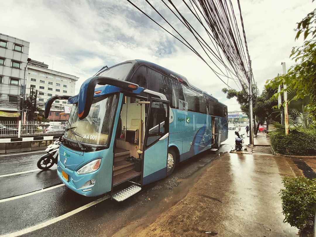 Bus Mewah Bigbird Alpha Premium