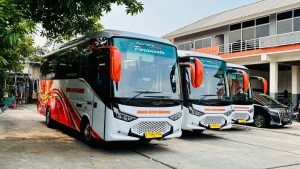 IMG-20241031-WA0021[1]