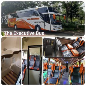 executive-bus-mcw